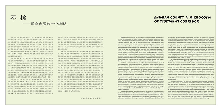 ʯޡ-008